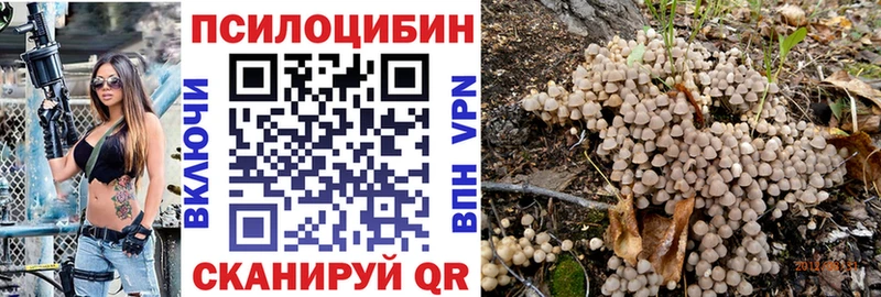 площадка наркотические препараты  Урень  Псилоцибиновые грибы Psilocybine cubensis 